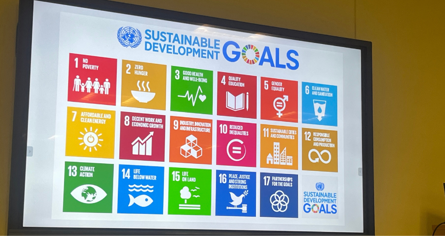 A visual presentation on Sustainable Development Goals